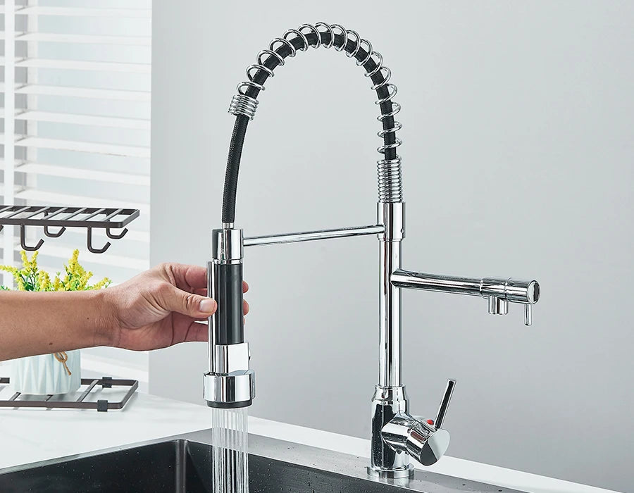 Dual Spout Kitchen Faucet with Pull-Out Spring Sprayer – Chrome | Mixer Tap