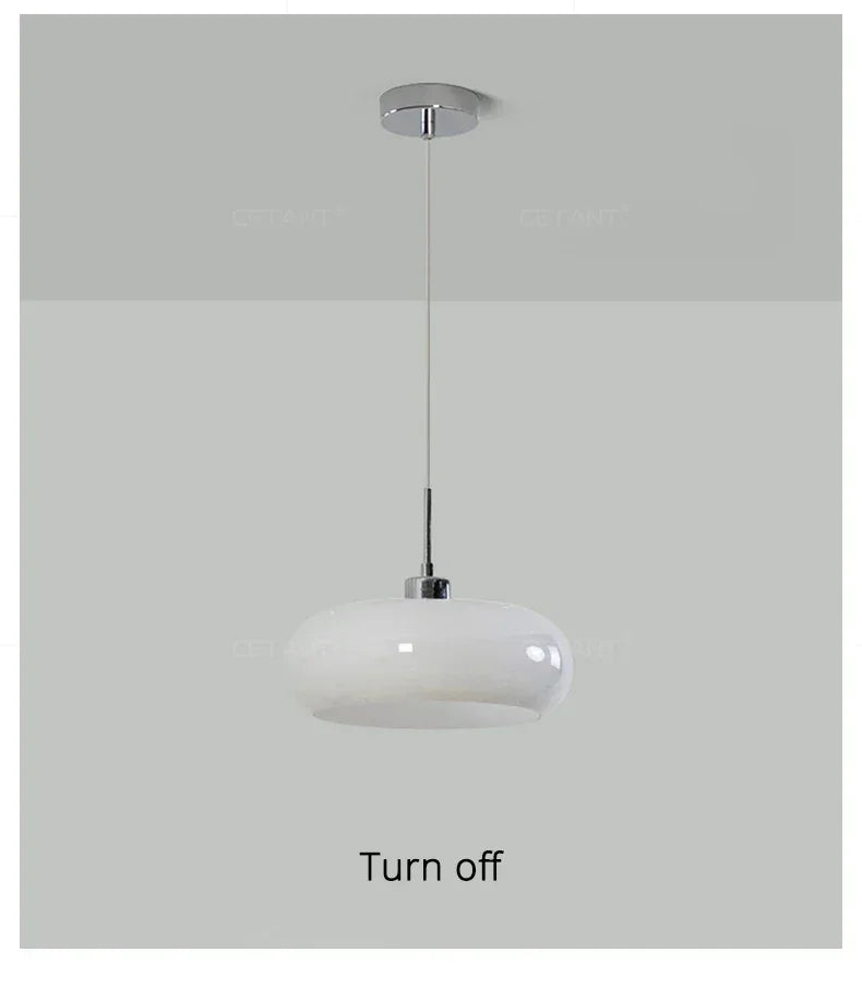 BAUHAUS Modern Glass Pendant Light - Matte Shade Hanging Lamp