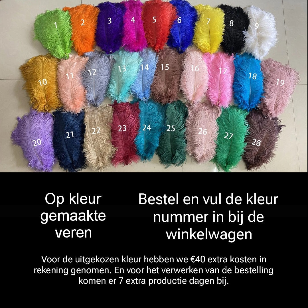 Struisvogel veren prijs per 10 stuks