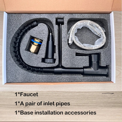 Stainless Steel Kitchen Faucet – Pull-Down Spring Spout with 360° Rotation | Matte Black