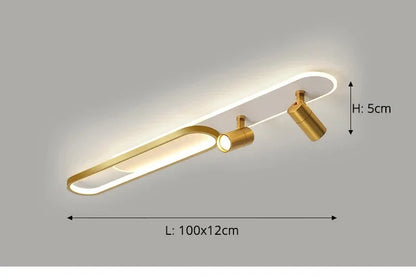 Dimbare led-plafondlamp met spotlight – 60/80/100/120 cm | Zwart, wit of goud