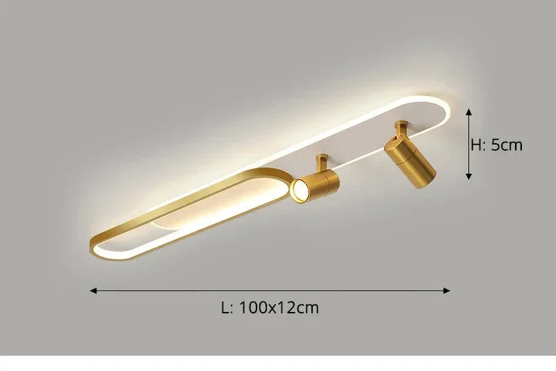 Dimbare led-plafondlamp met spotlight – 60/80/100/120 cm | Zwart, wit of goud