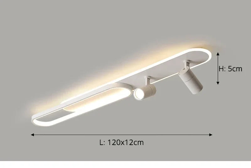 Dimbare led-plafondlamp met spotlight – 60/80/100/120 cm | Zwart, wit of goud